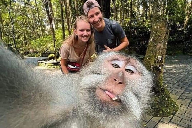 bali groepsreis tussenjaar aapje