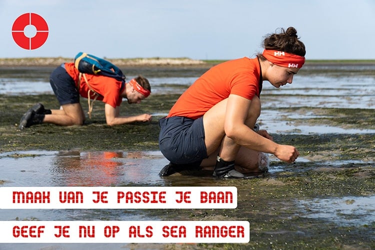 Sea Ranger tussenjaar