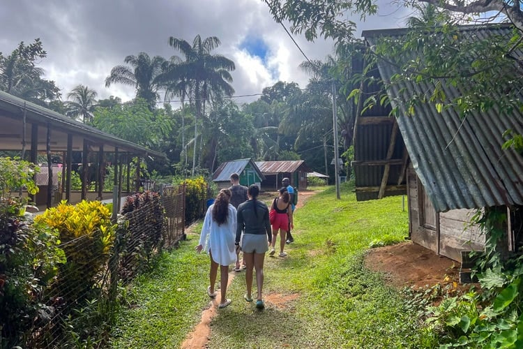 tussenjaar paramaribo