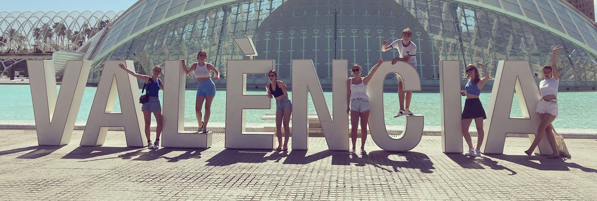 The Palmtree Project logo - tussenjaar Buitenland